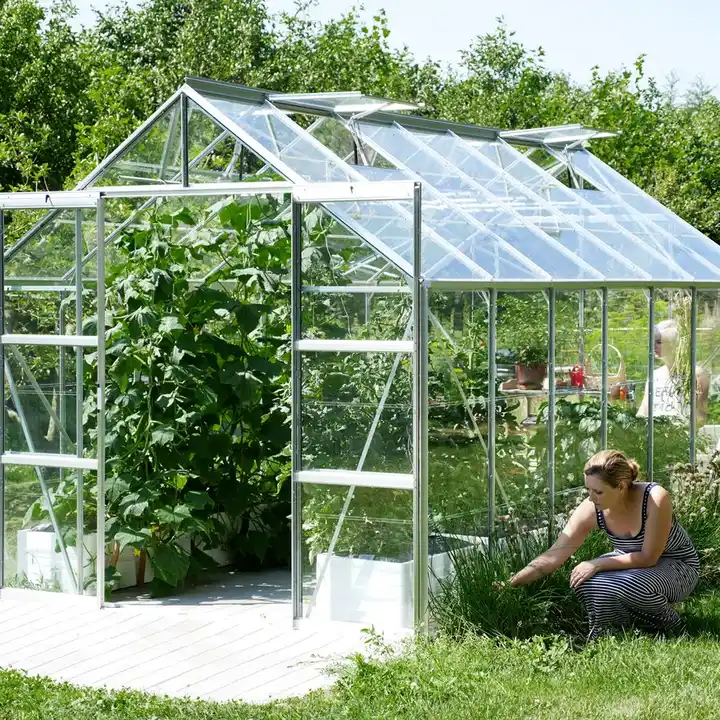 8Ft x 10Ft Aluminum High Profile Green House