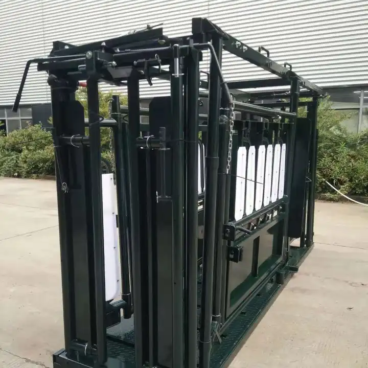 Economical Cattle Squeeze Shute