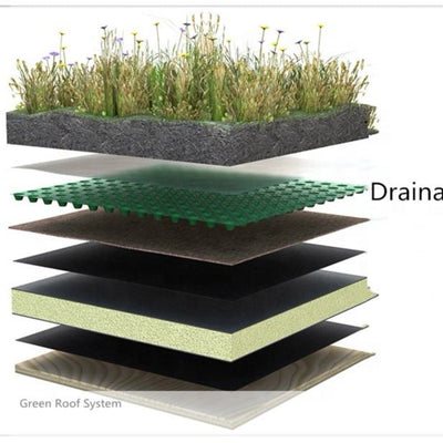 TPO Roofing Membrane Roll
