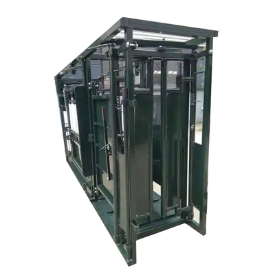 Economical Cattle Squeeze Shute