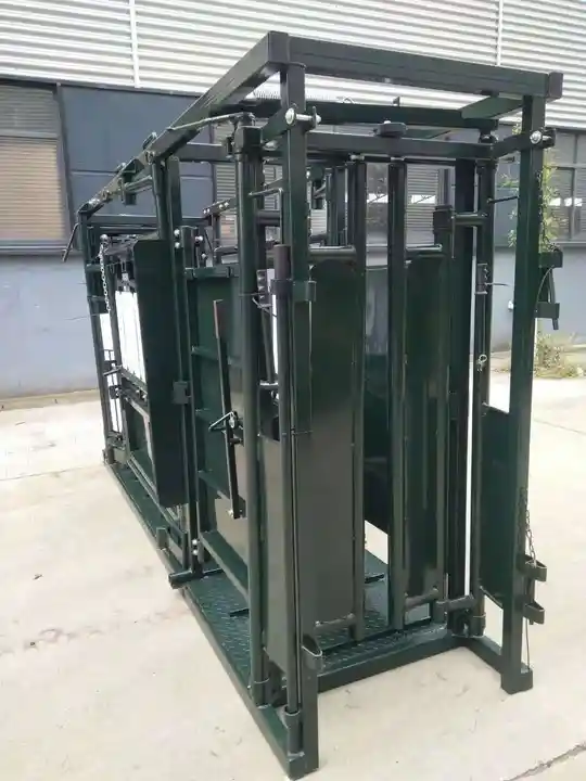 Economical Cattle Squeeze Shute