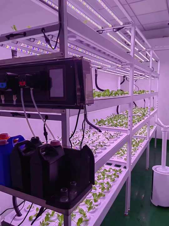 Vertical Farm Hydroponic Rack System 4 Floors with Led Light Irrigation Pipe Water Pump tank Indoor Planting Shelf Greenhouse