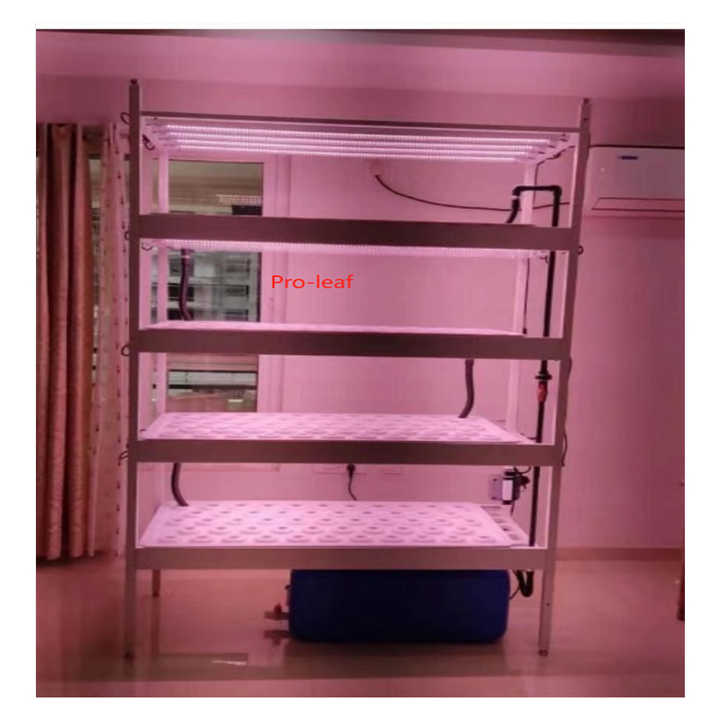 Vertical Farm Hydroponic Rack System 4 Floors with Led Light Irrigation Pipe Water Pump tank Indoor Planting Shelf Greenhouse