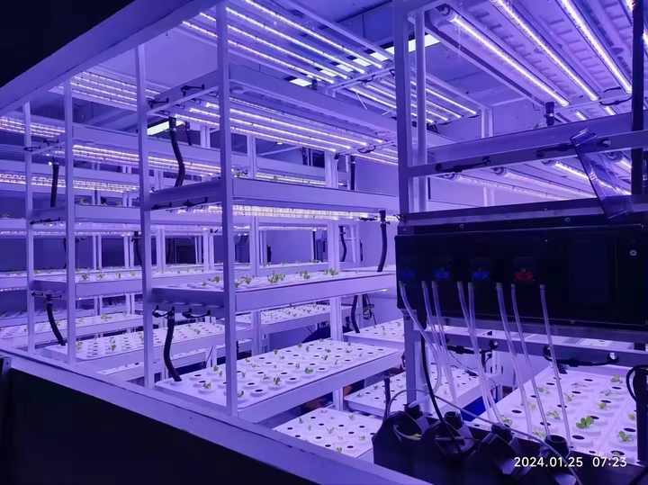 Vertical Farm Hydroponic Rack System 4 Floors with Led Light Irrigation Pipe Water Pump tank Indoor Planting Shelf Greenhouse