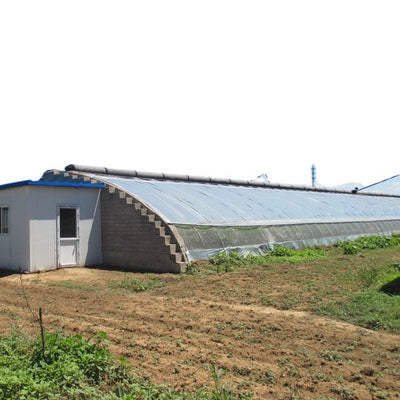 40x100 Commercial Year-Round Agricultural Greenhouse