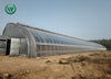 30x80 Commercial Year-Round Agricultural Greenhouse