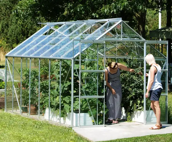 8Ft x 10Ft Aluminum High Profile Green House