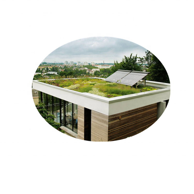 TPO Roofing Membrane Roll
