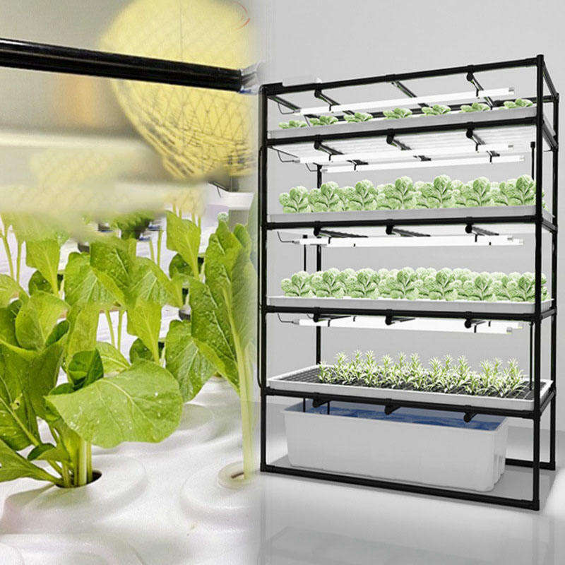 Vertical Hydroponic Growing System with Rolling Bench