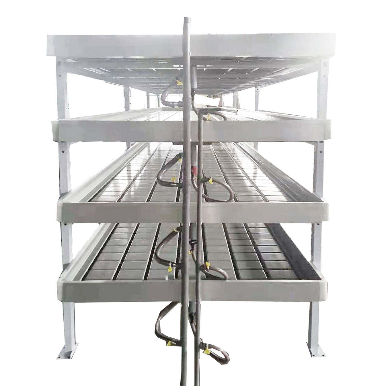 Vertical Hydroponic Growing System with Rolling Bench