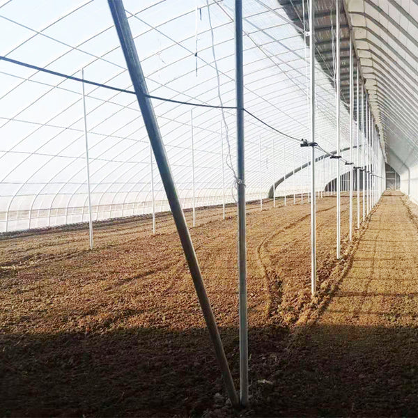 Commercial Year-Round Agricultural Greenhouse