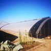 Commercial Year-Round Agricultural Greenhouse