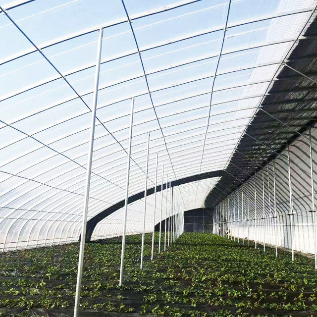 Commercial Year-Round Agricultural Greenhouse