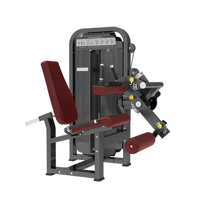 Leg Curl & Leg Extension Machine (2-in-1)