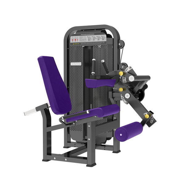 Leg Curl & Leg Extension Machine (2-in-1)