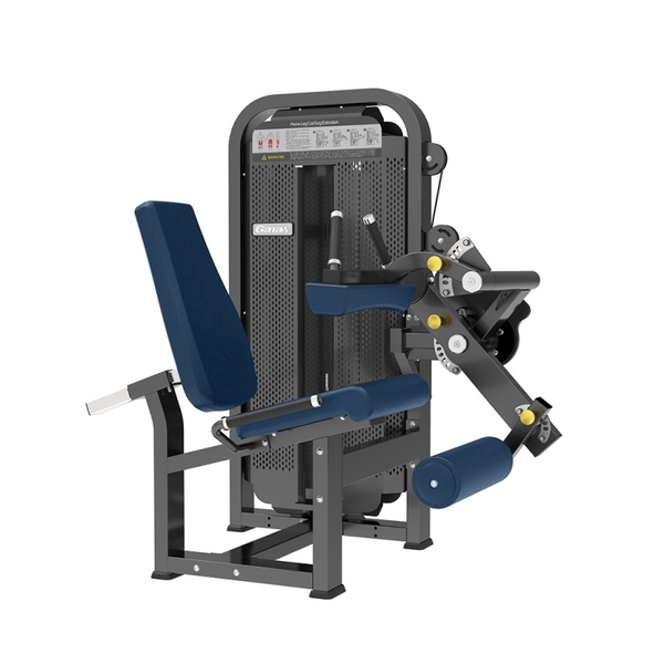 Leg Curl & Leg Extension Machine (2-in-1)
