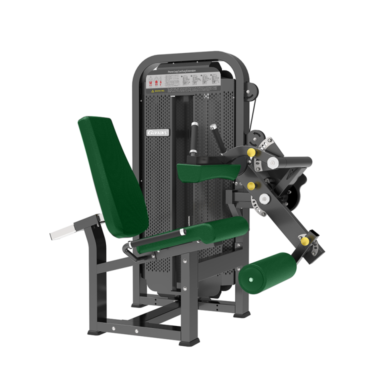 Leg Curl & Leg Extension Machine (2-in-1)