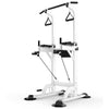 Power Tower Dip Station with Pull-Up Bar & Knee Raise Trainer