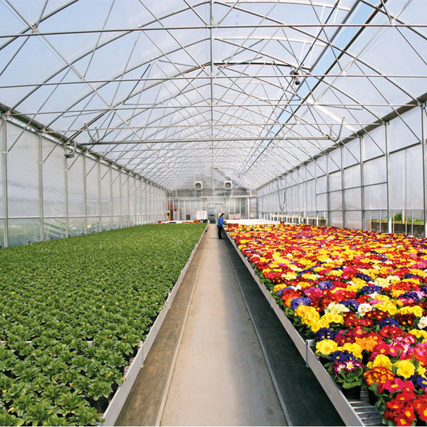 Small Commercial Agricultural Greenhouse