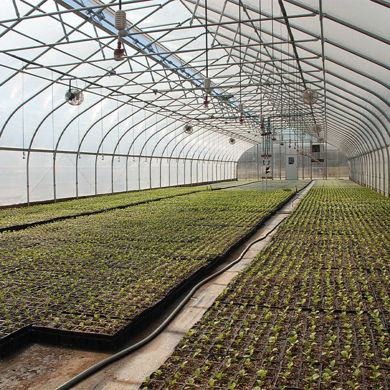 Small Commercial Agricultural Greenhouse