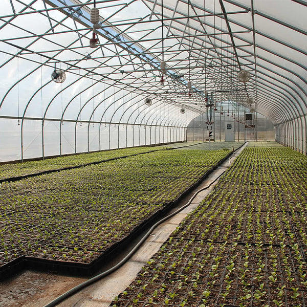 Small Commercial Agricultural Greenhouse