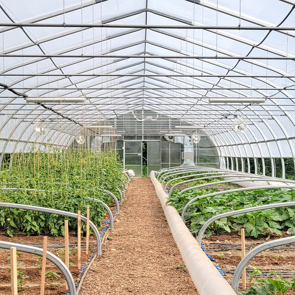 Small Commercial Agricultural Greenhouse