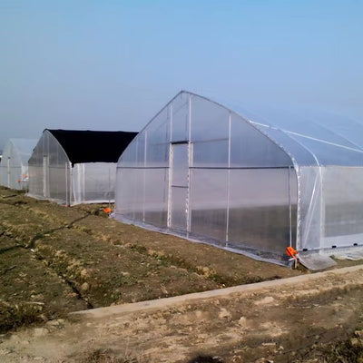 Small Commercial Agricultural Greenhouse