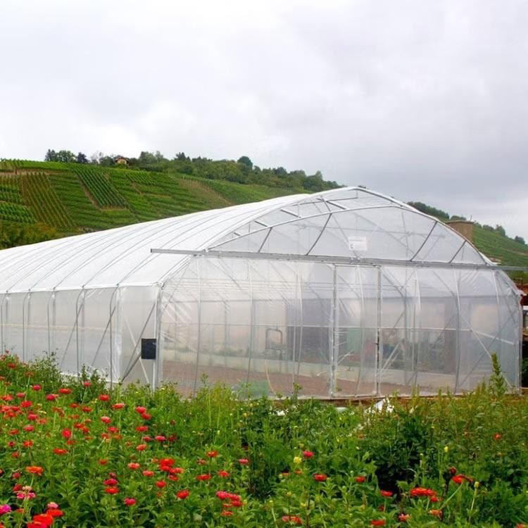 Small Commercial Agricultural Greenhouse