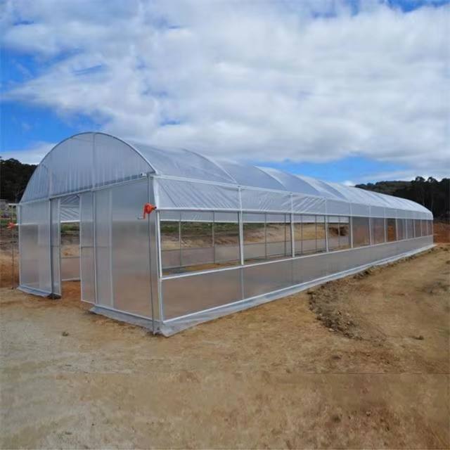Small Commercial Agricultural Greenhouse