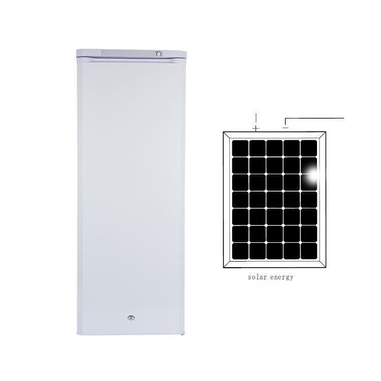 198L DC Solar-Powered Upright Freezer