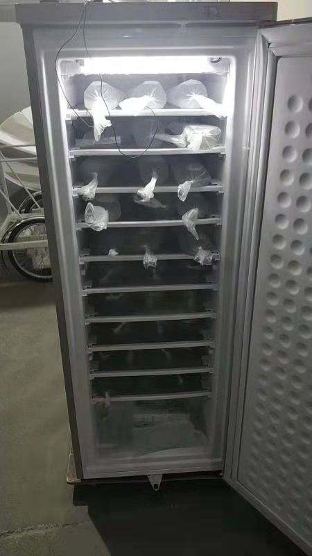 198L DC Solar-Powered Upright Freezer