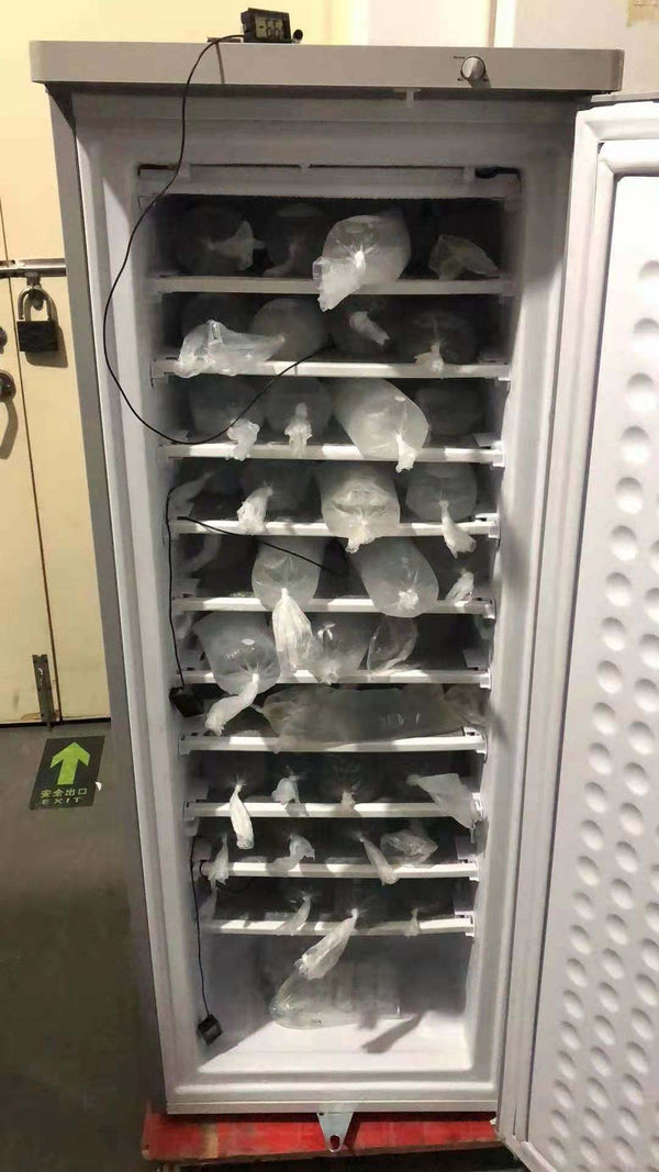 198L DC Solar-Powered Upright Freezer