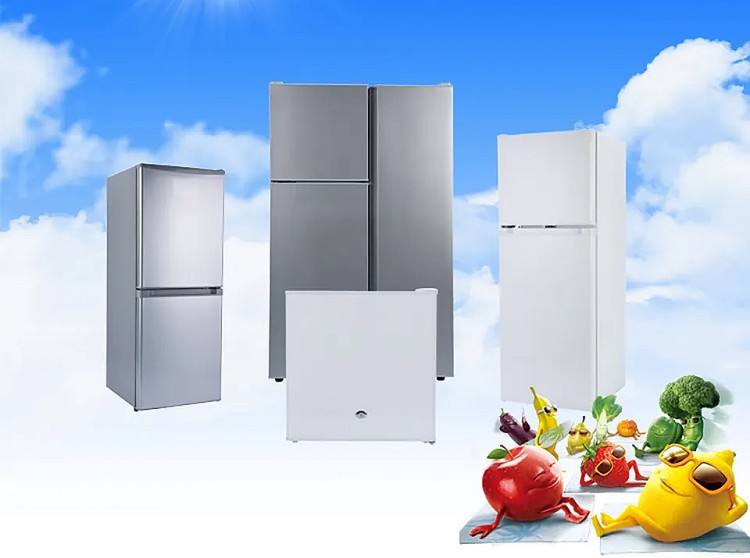 Solar Powered Double Cabinet Freezer & Refrigerator (12V Off-Grid)