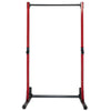 Free-Standing Squat Stand with Pull-Up Bar